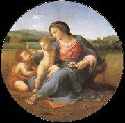 Aragon jose Rafael Albums Madonna oil painting reproduction